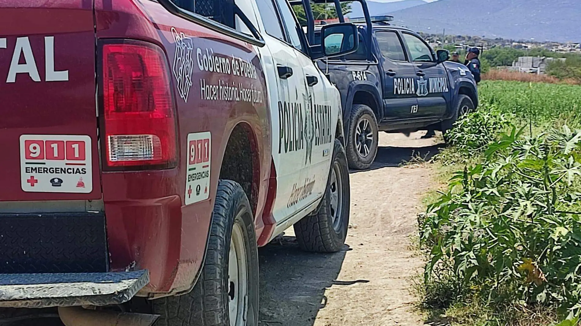 adolescente es encontrada muerta en Tehuacàn